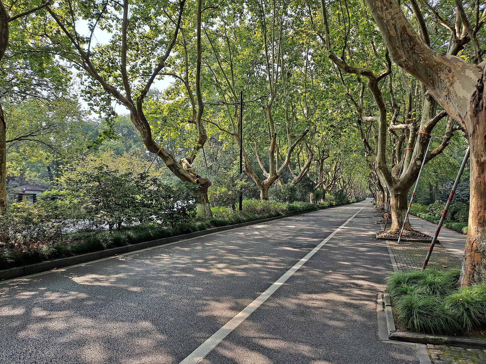 West Lake in Hangzhou with its causeways, the lake that supplies the opening scenes of The Best Thing