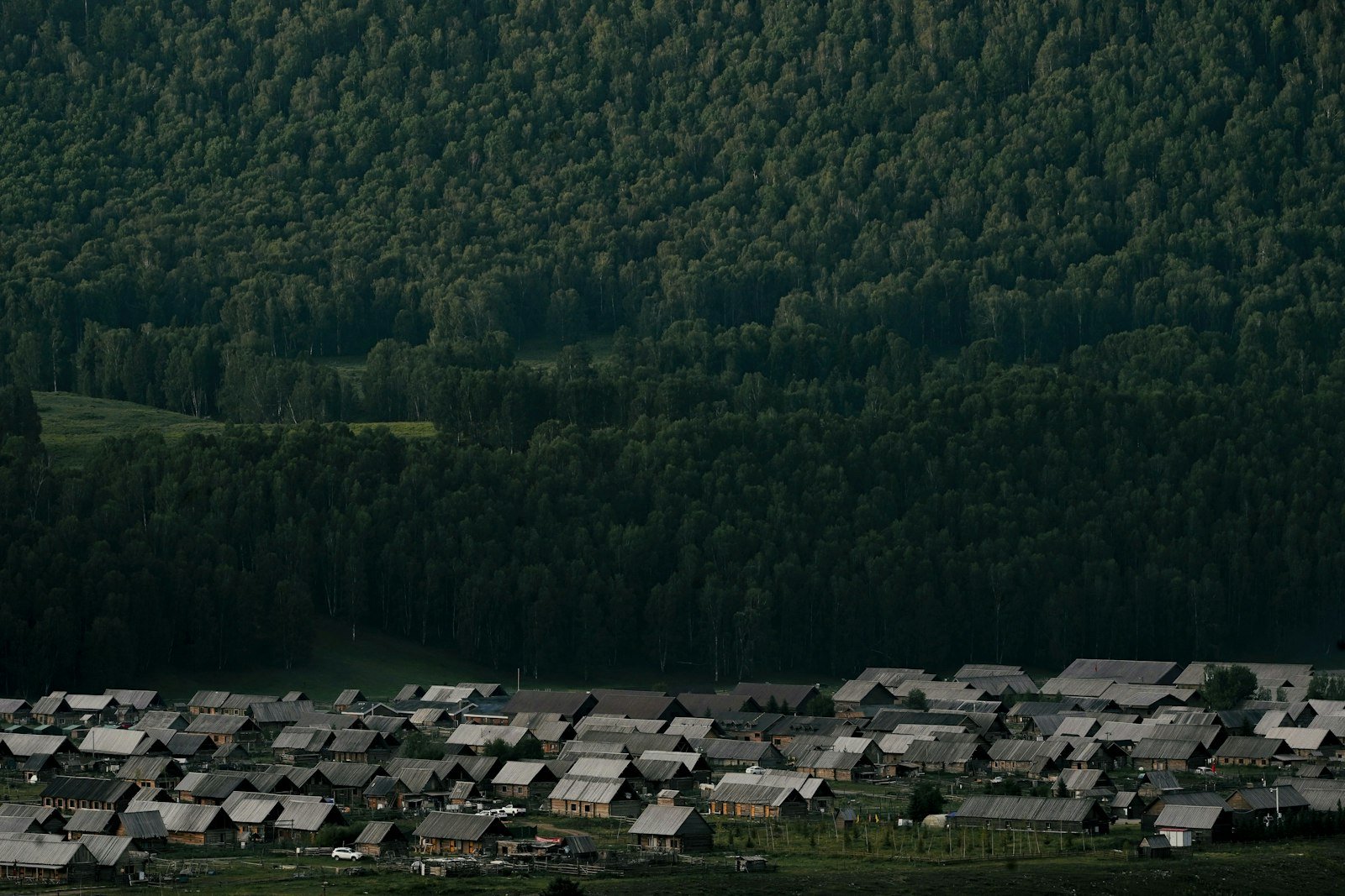 A cluster of wooden village houses standing in the middle of a forest in northern Xinjiang
