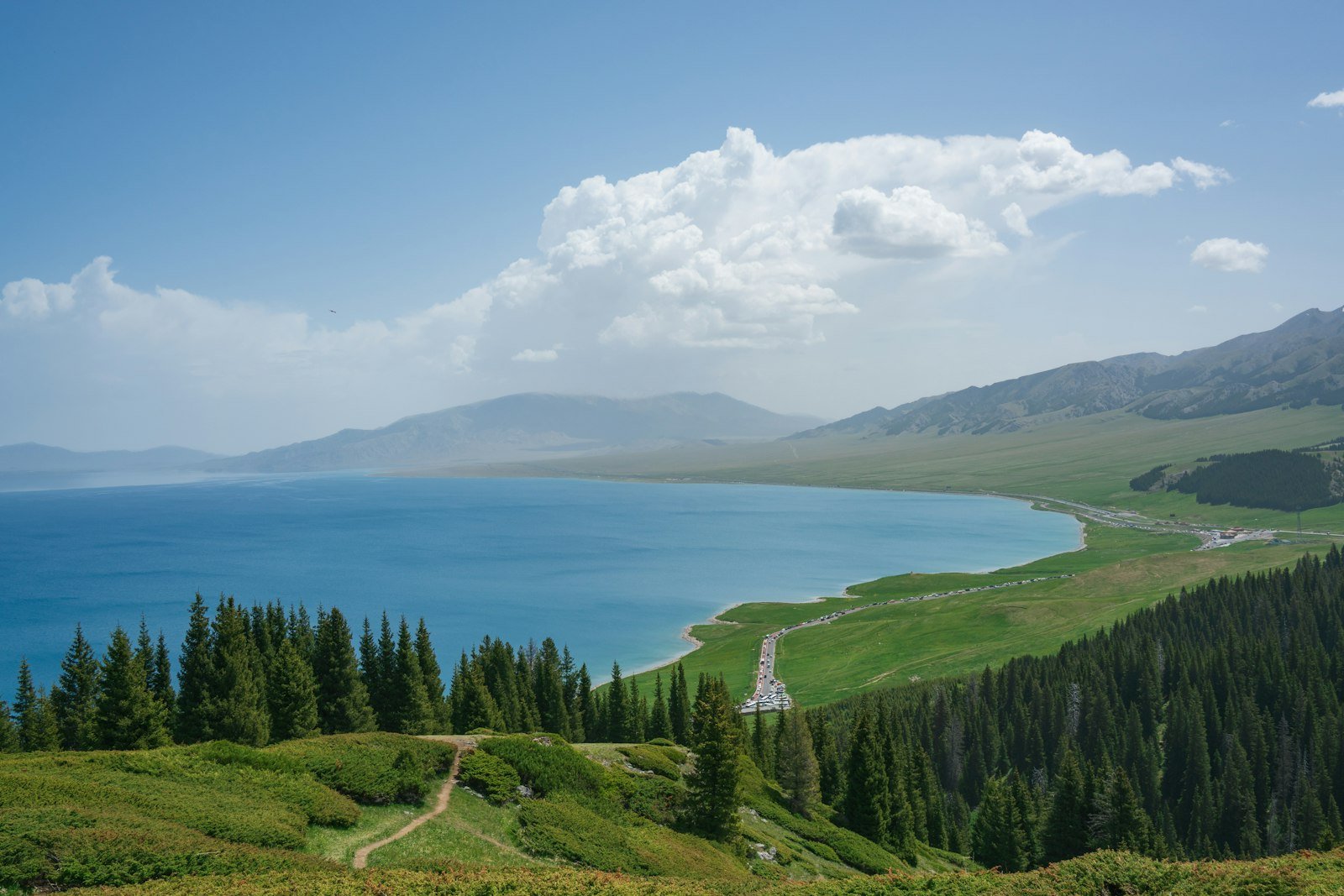 Pine forest running down to a blue lake in northern Xinjiang