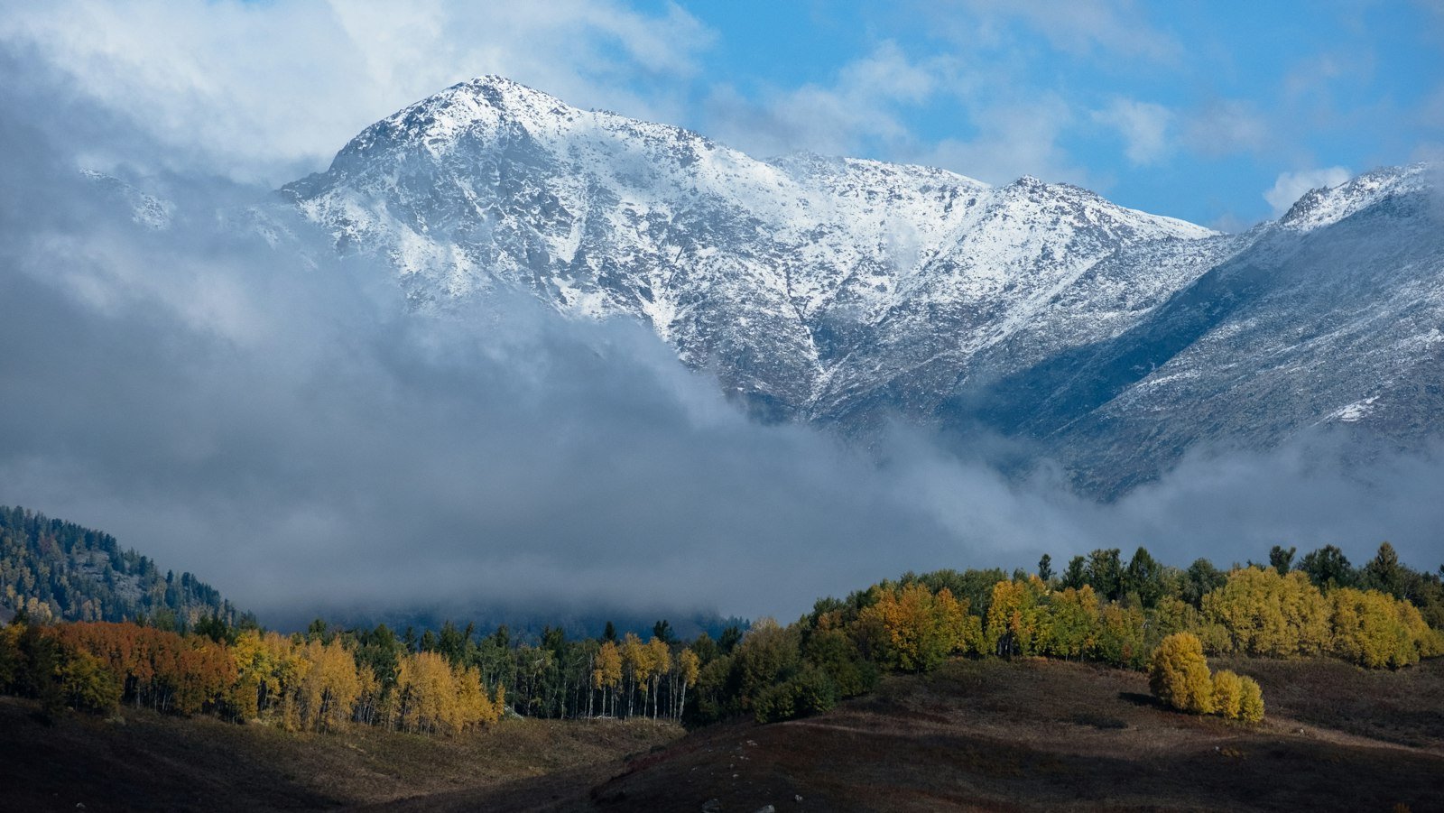 A snow-covered mountain peak rising behind forested slopes in the Altay mountains