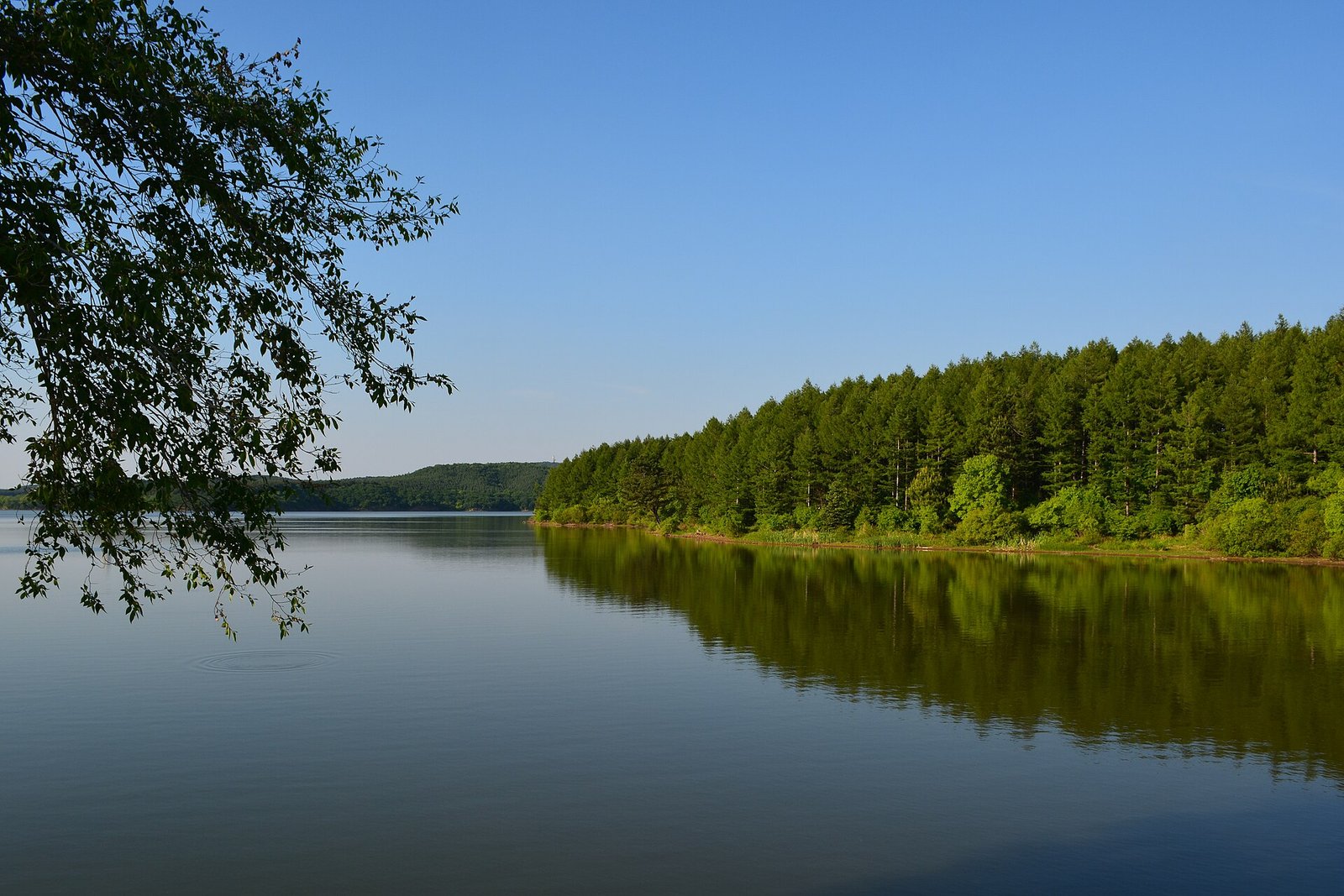 A calm lake ringed by dense forest at Jingyuetan