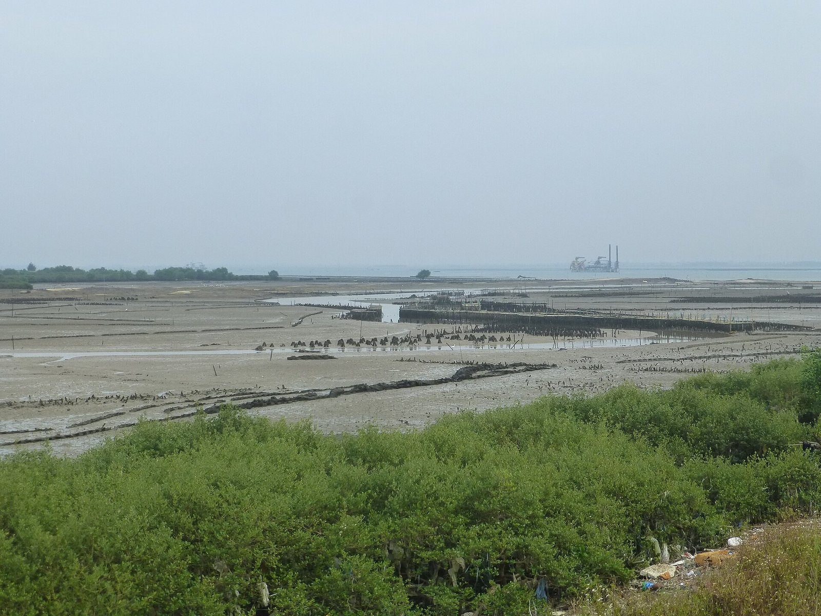 A vast tidal mudflat at low tide with shellfish stakes and low stone walls, mangroves in the foreground and a bridge and industrial towers on the far horizon