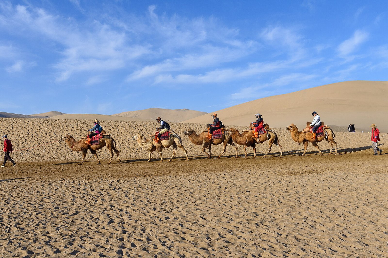 A camel caravan crossing the Singing Sand Dunes at Dunhuang