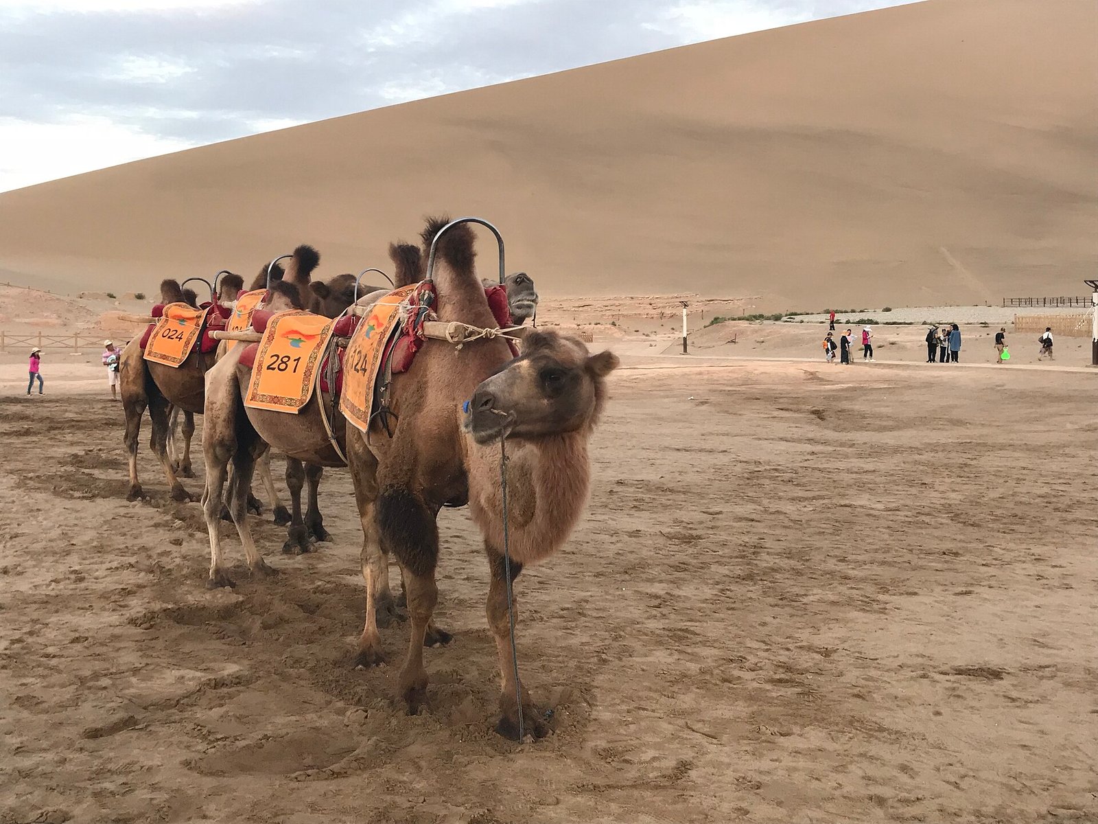 Ridges of sand in the Dunhuang dunes, the desert used by Chinese film and television