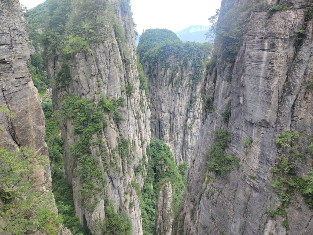 Sheer limestone cliffs rising on both sides of a gorge in Enshi Grand Canyon, Hubei, with forest on the slopes