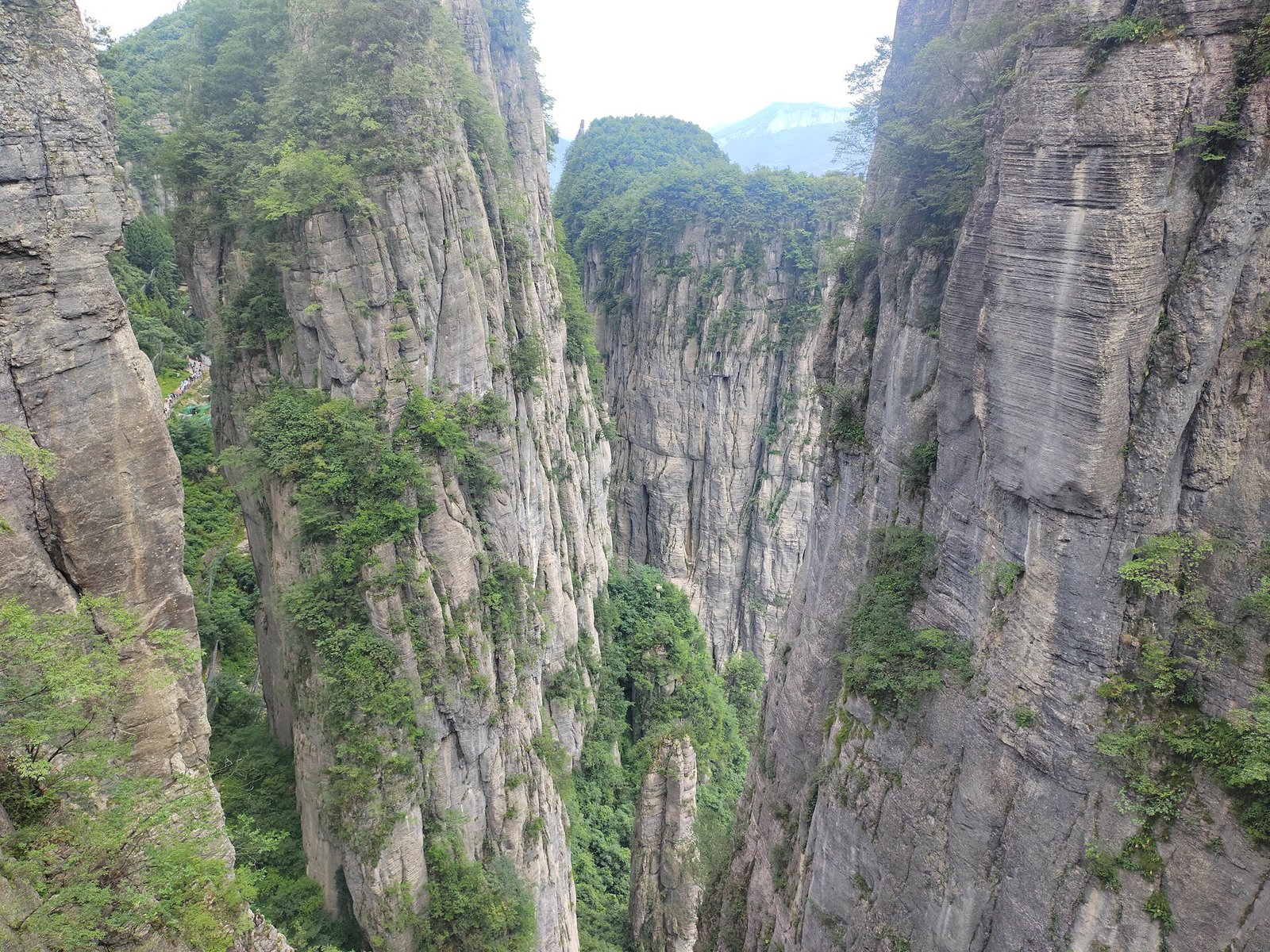 Sheer limestone cliffs rising on both sides of a gorge in Enshi Grand Canyon, Hubei, with forest on the slopes