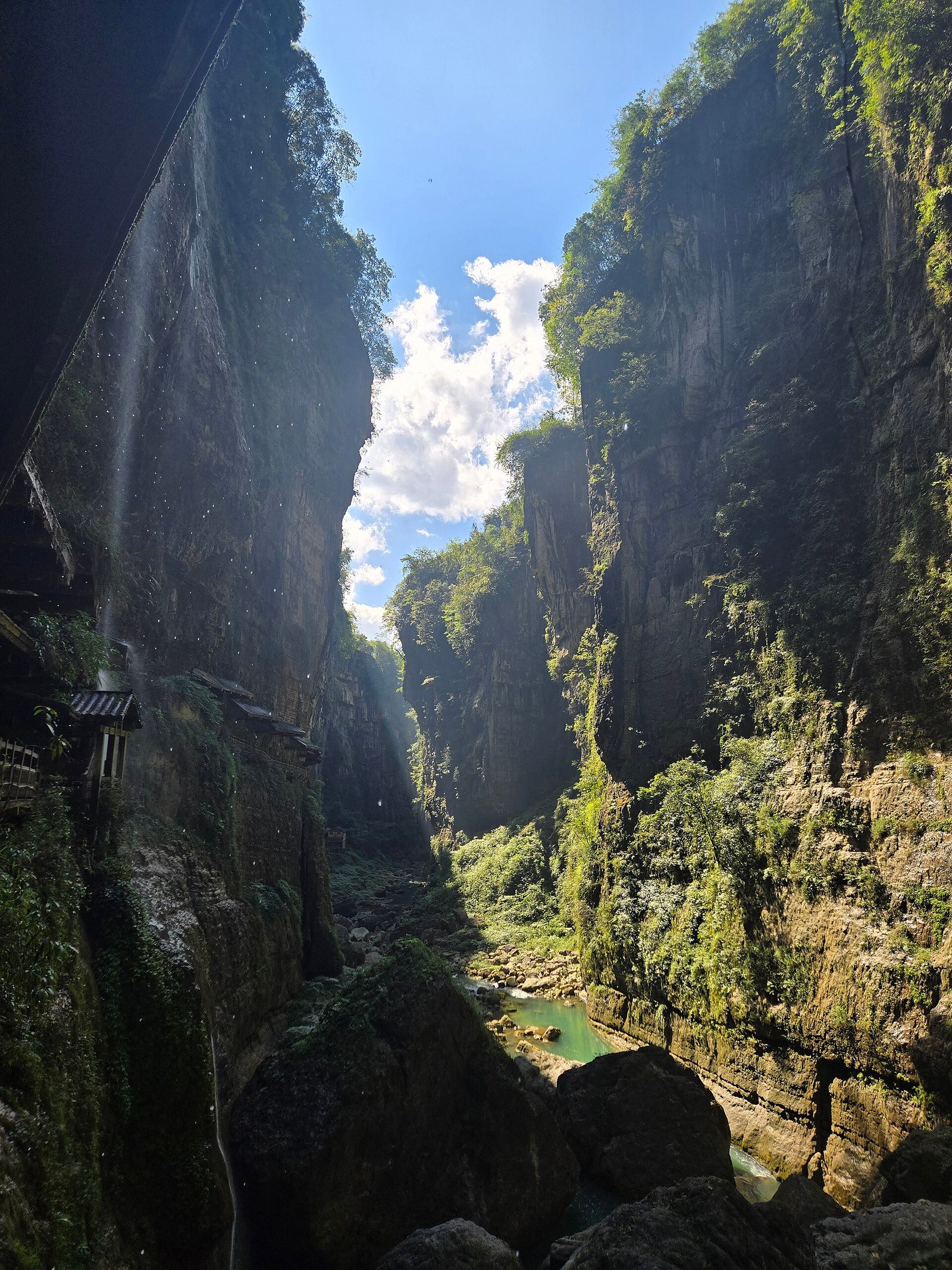 A narrow forested gorge between high limestone walls in Enshi Grand Canyon, seen from the walking trail