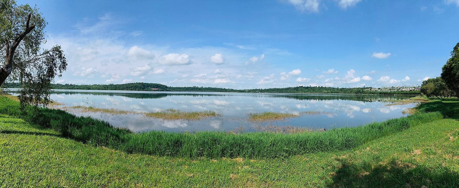 A wide calm lake ringed by low green wooded hills, with reeds and grass in the foreground and clouds reflected in the still water