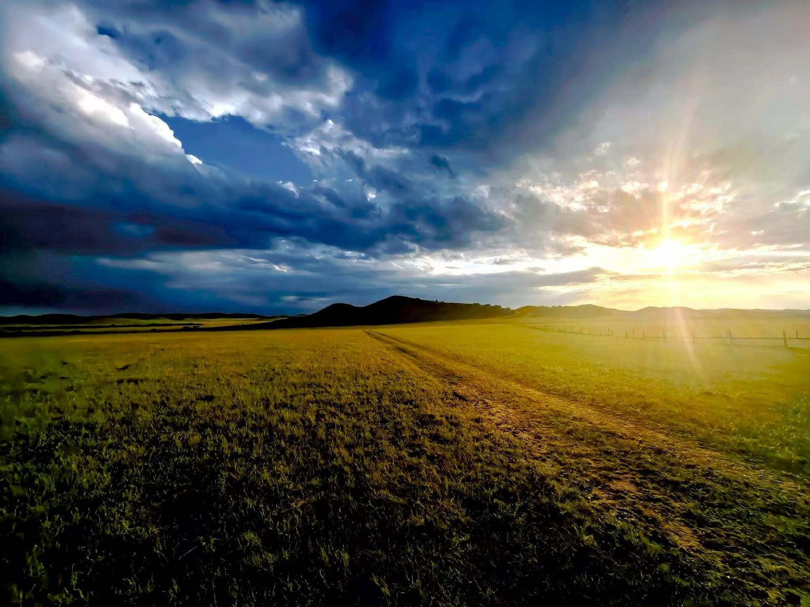 Sunset over rolling Inner Mongolian grassland, with long shadows across the field and a dramatic sky