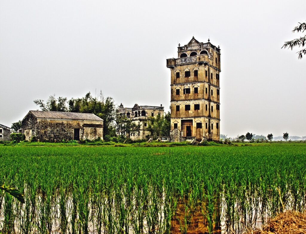 A five-storey fortified diaolou tower with a rooftop pavilion standing at the edge of a bright green rice field