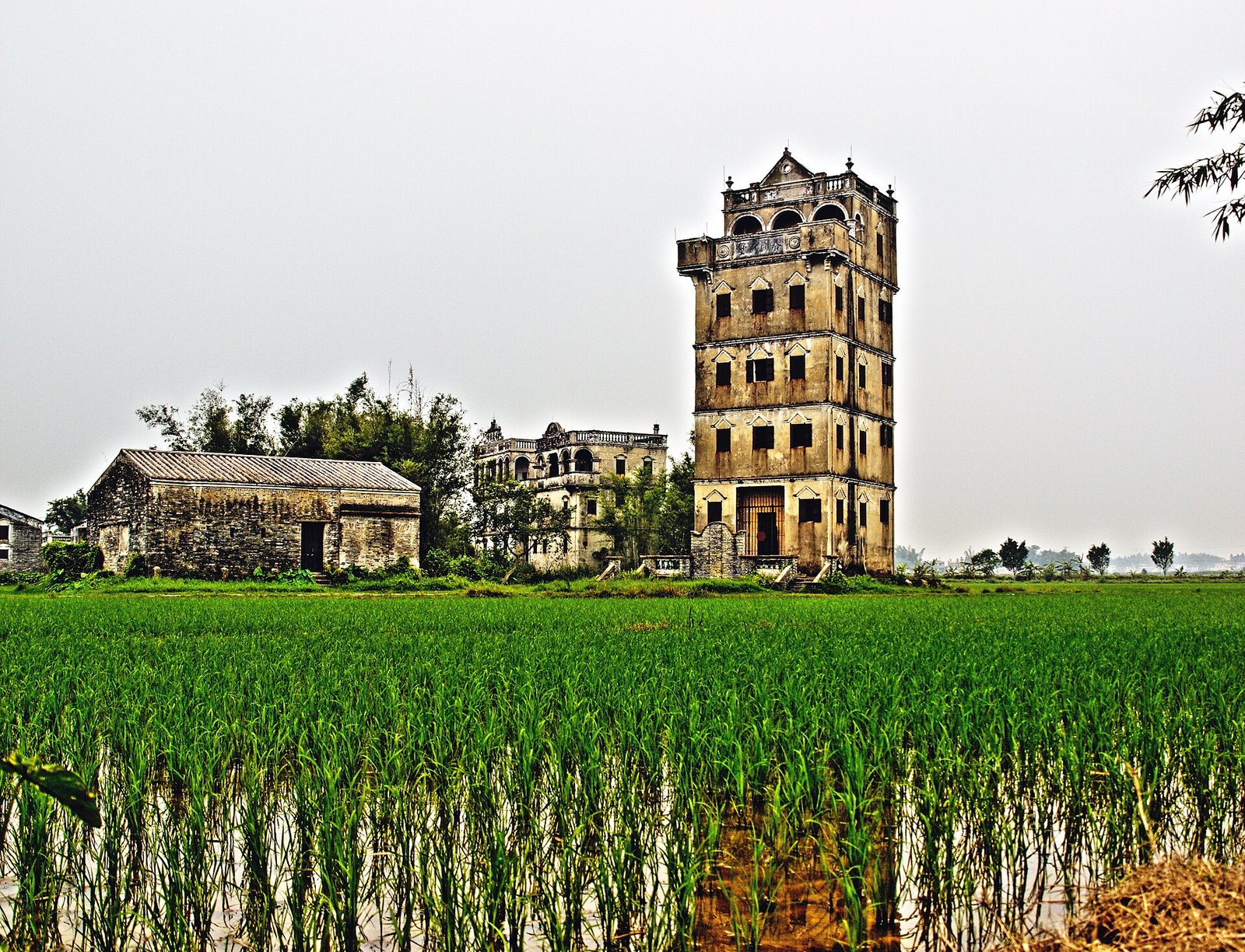 A five-storey fortified diaolou tower with a rooftop pavilion standing at the edge of a bright green rice field