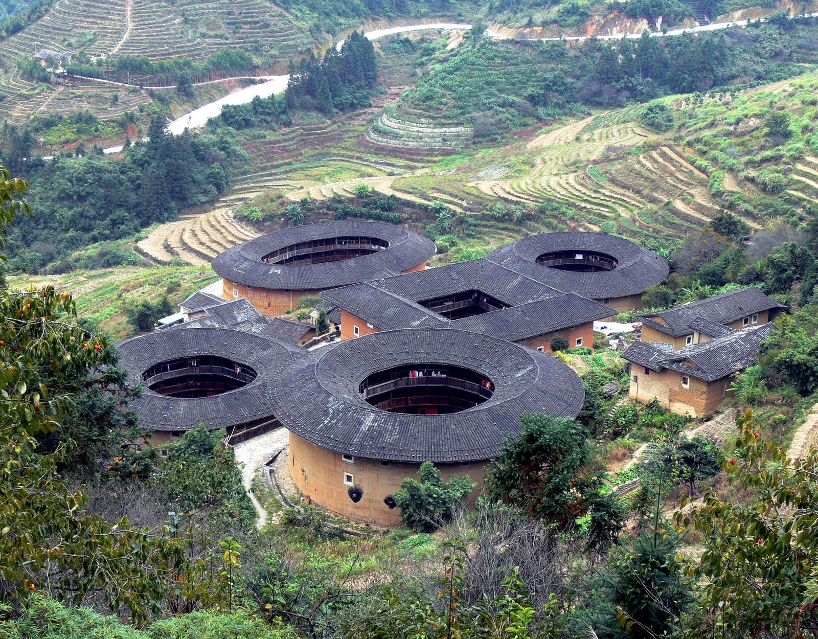 The five buildings of the Tianluokeng tulou cluster seen from above, ringed by green terraced hillsides in Nanjing County, Fujian
