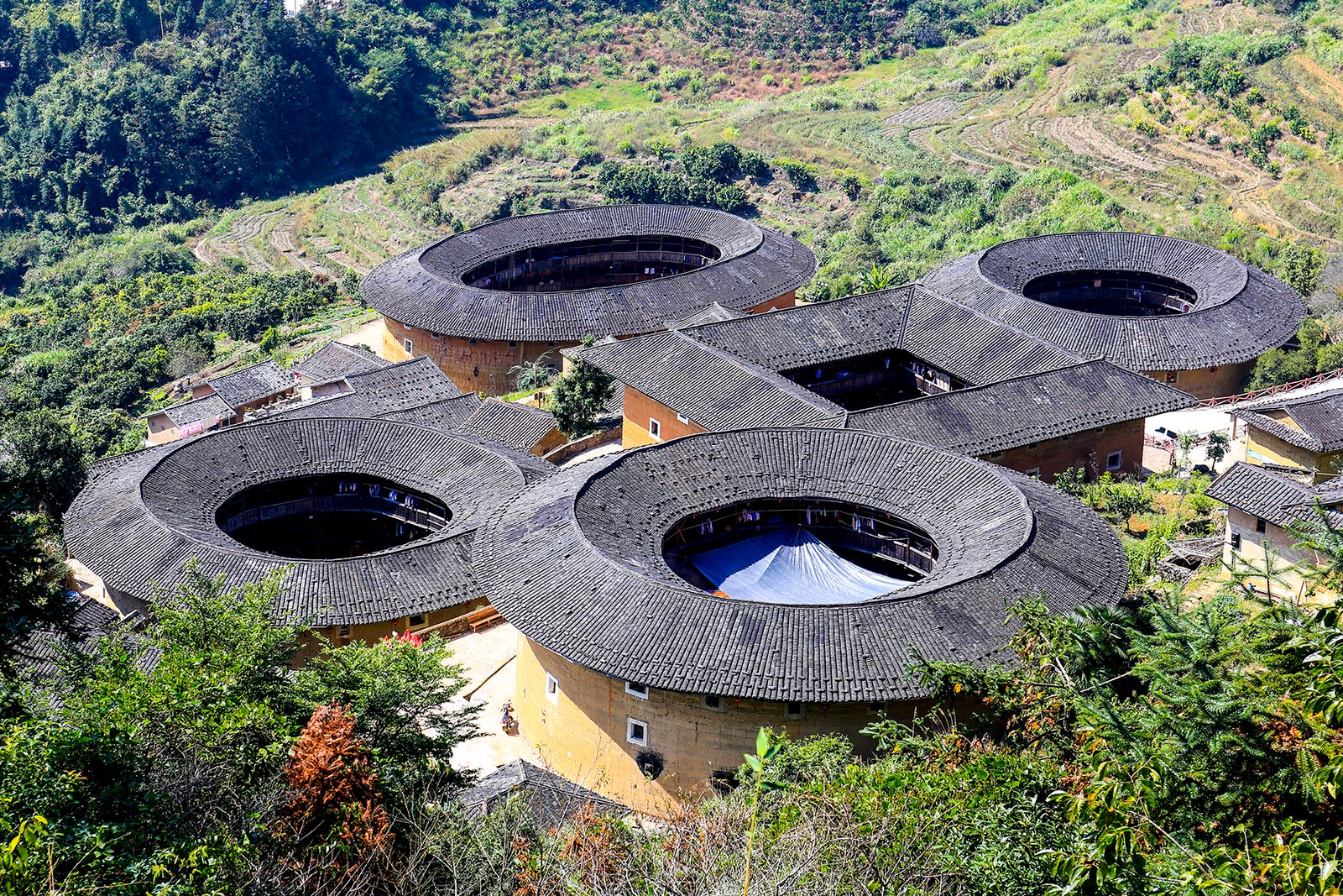 An aerial view of the five tulou at Tianluokeng in Nanjing County, Fujian, with their dark tiled roofs set against green hillsides