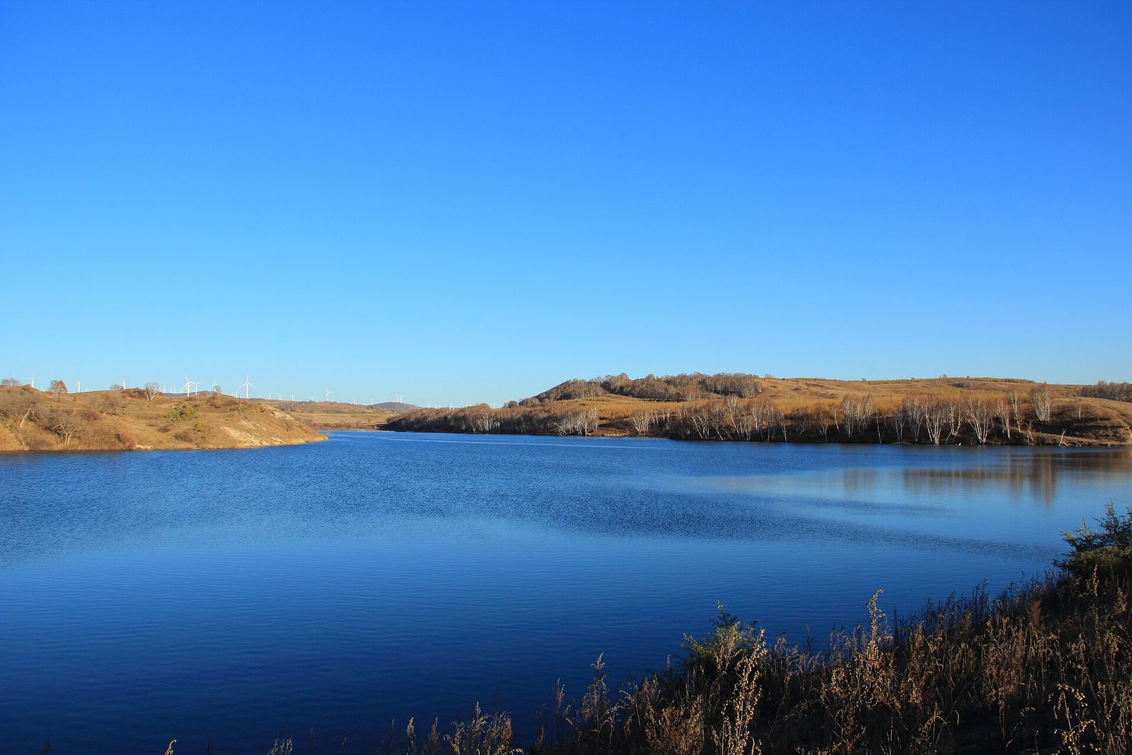 A blue lake ringed by forest and low hills in Saikhanba National Forest Park, Hebei
