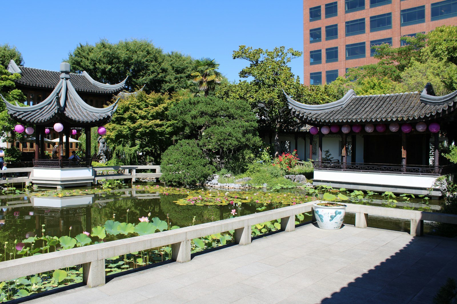 A classical Chinese garden with pavilions, a still pond and lush greenery