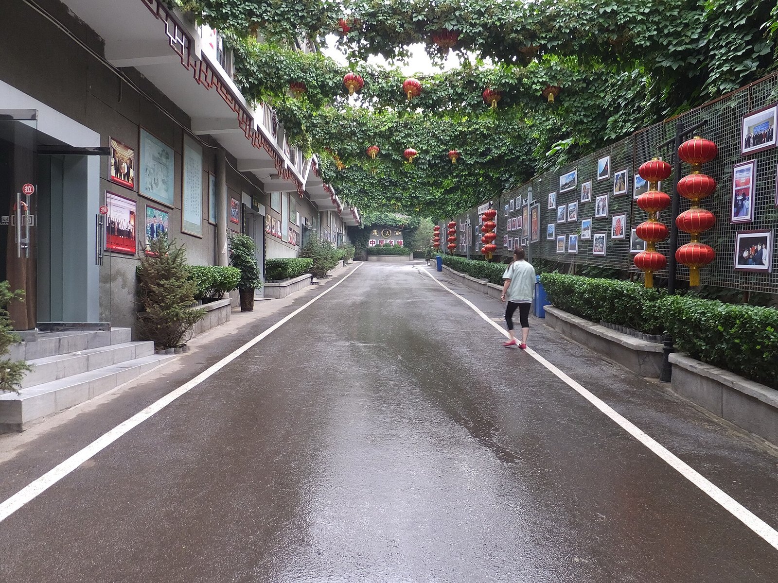 A wet asphalt lane running between low buildings hung with vines and red lanterns, with exhibition boards along both walls