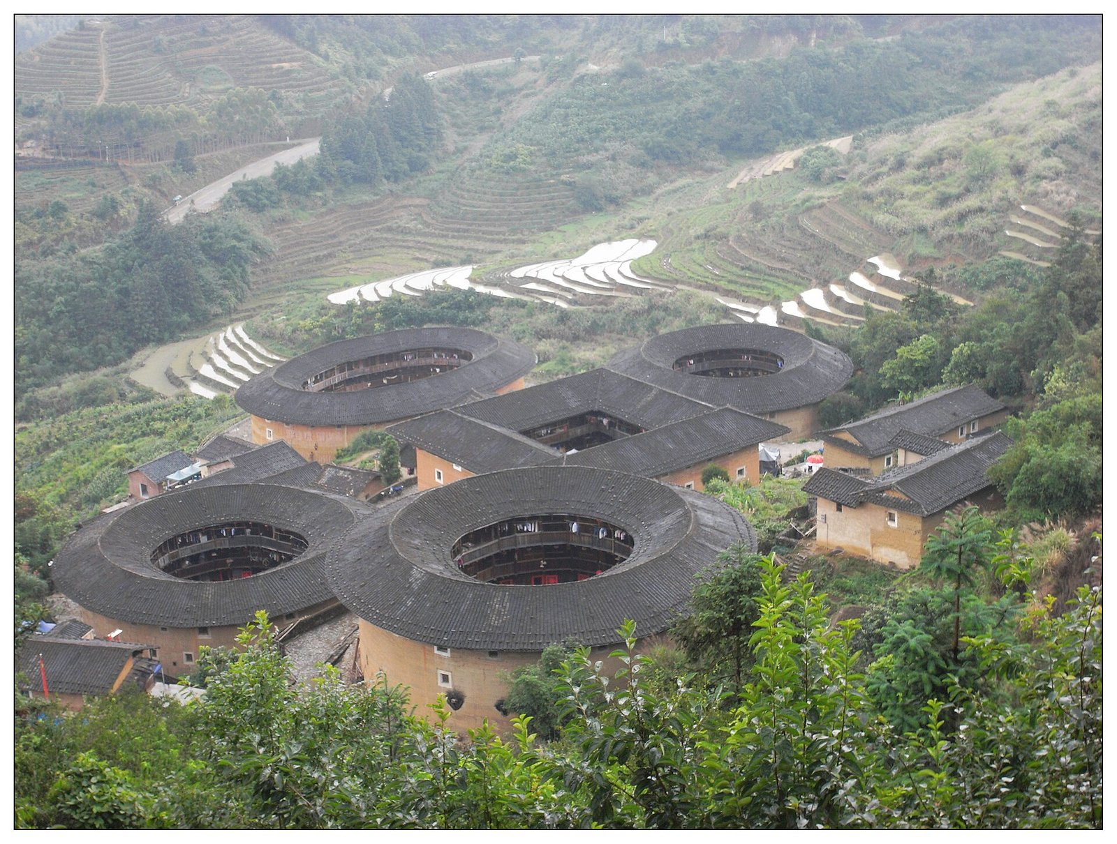 A close aerial view of the five tulou at Tianluokeng, showing the central square building surrounded by three round ones and one oval