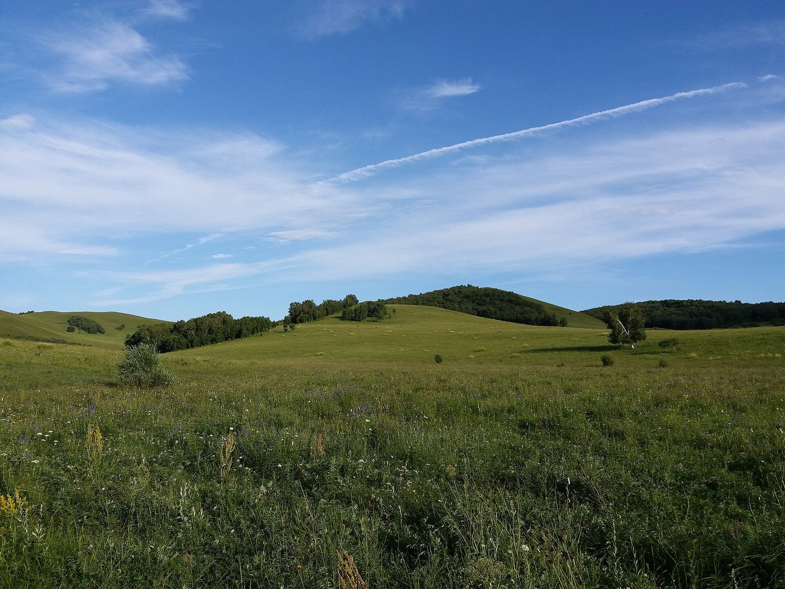 Rounded green hills under a blue sky on the grassland at Wulanbutong, with a track running between them
