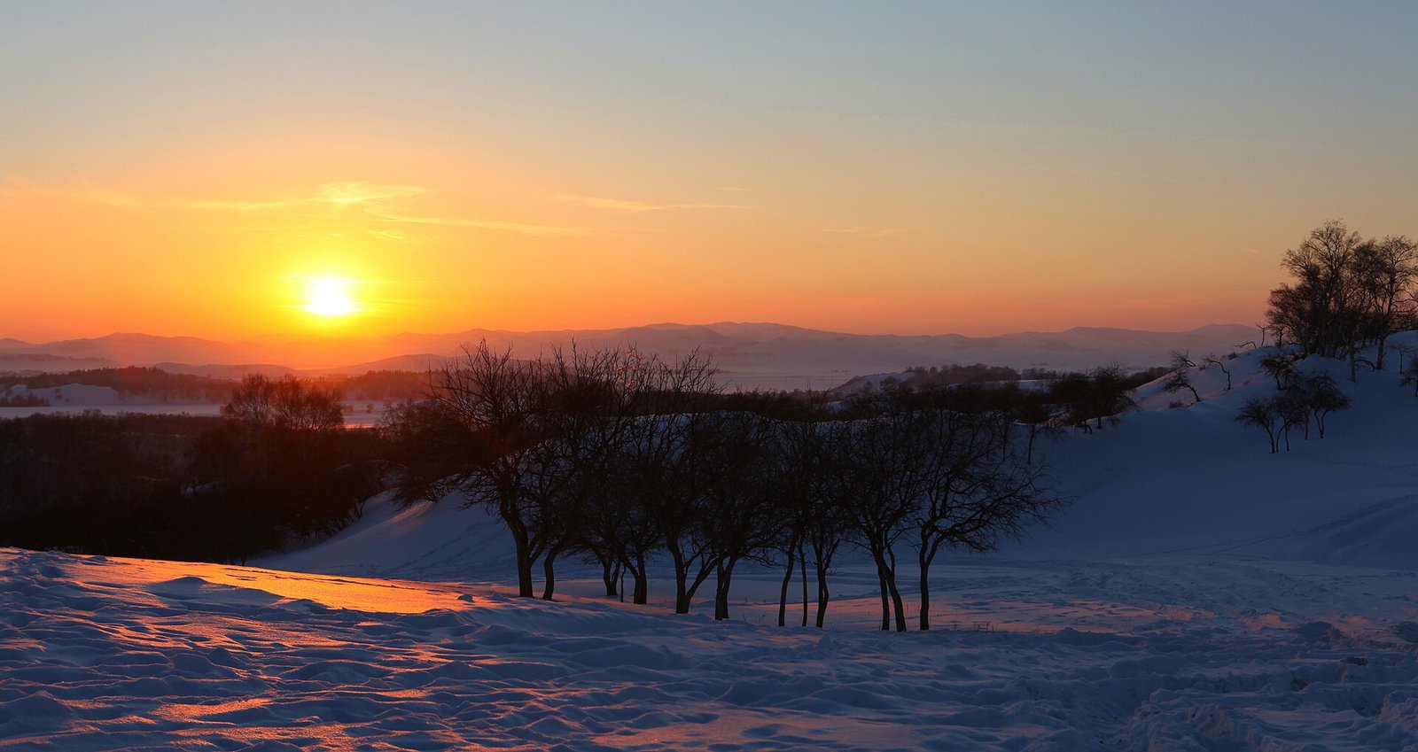 Sunset over snow-covered grassland at Wulanbutong, with bare trees silhouetted against an orange sky