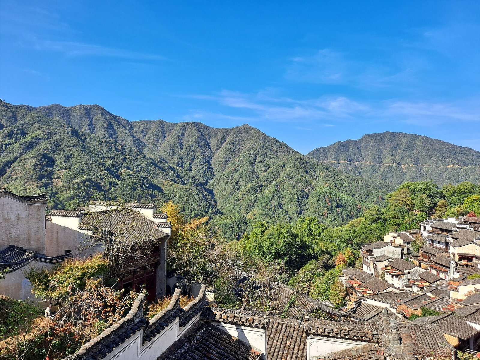 The terraced village of Huangling in Wuyuan, Jiangxi, with whitewashed houses stacked up a wooded hillside