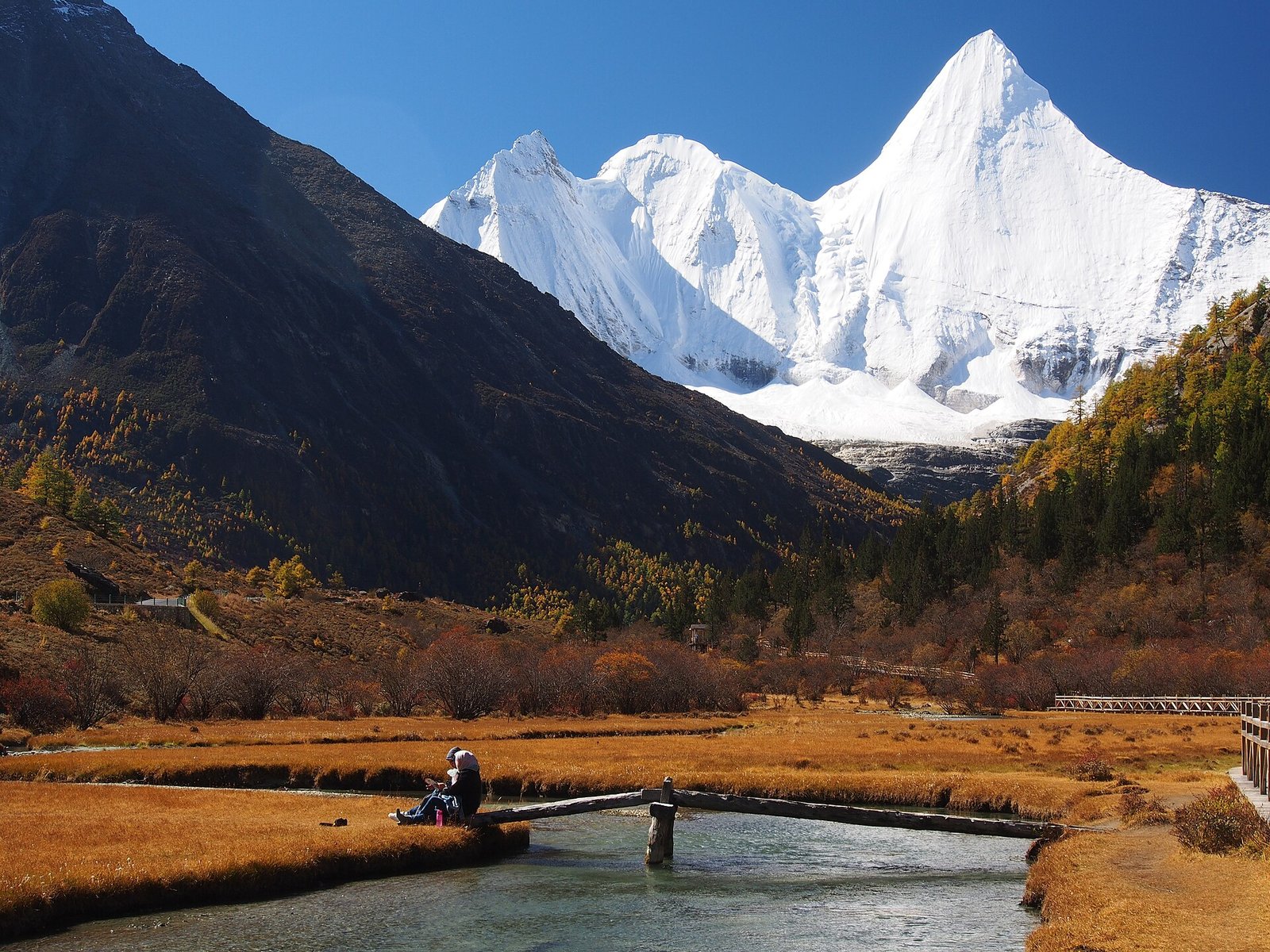 The sharp snow pyramid of Jampelyang rising above a golden autumn meadow with a small pool reflecting it