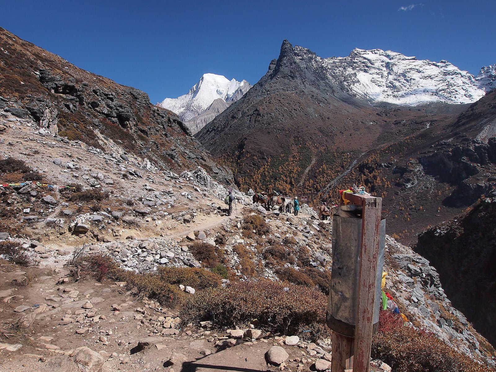 A rocky trail climbing towards a snow peak in the Yading nature reserve