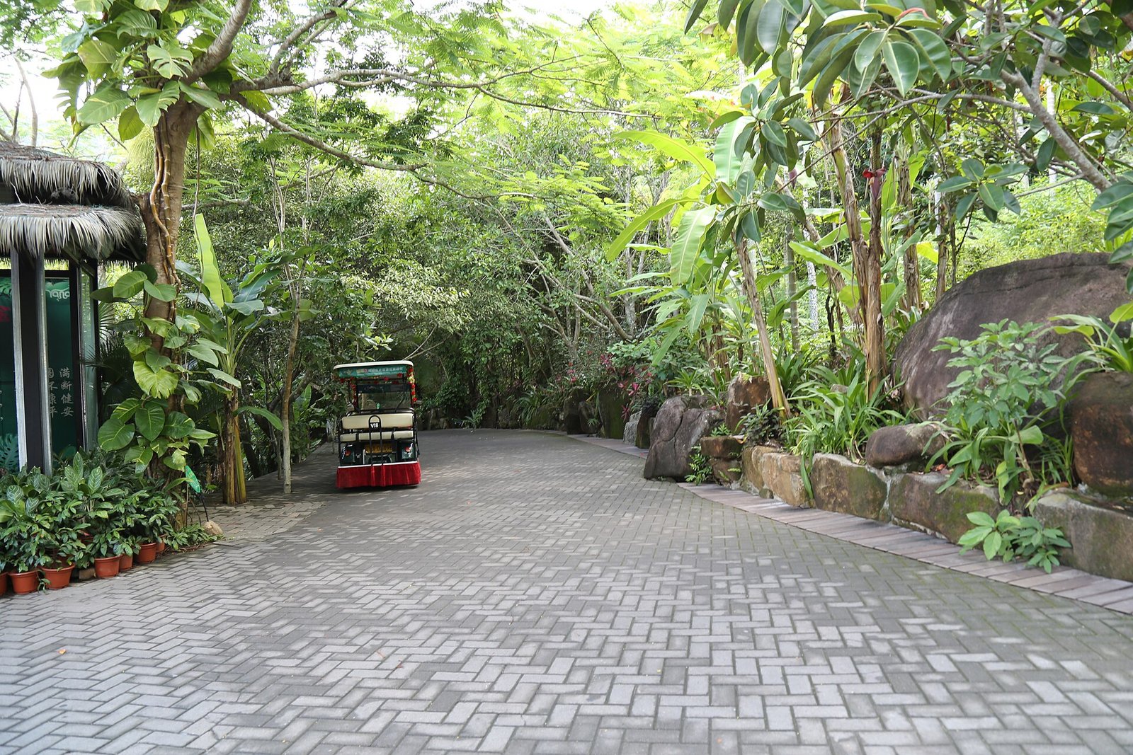 A paved path curving through dense tropical vegetation at Yanoda in Baoting