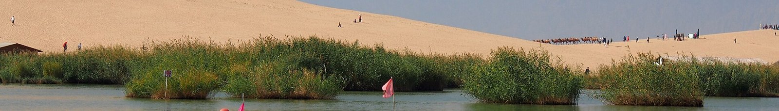 Desert and lake side by side at Shahu, north of Yinchuan in Ningxia