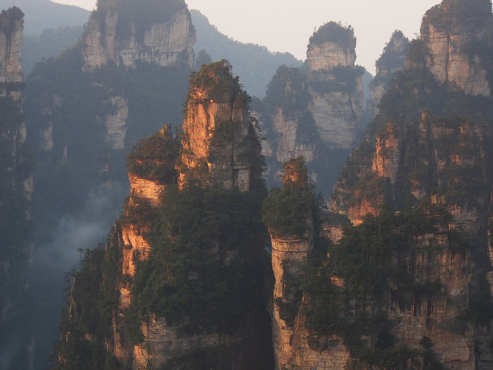 Sandstone pillars in Zhangjiajie at dawn, their tops catching the first light