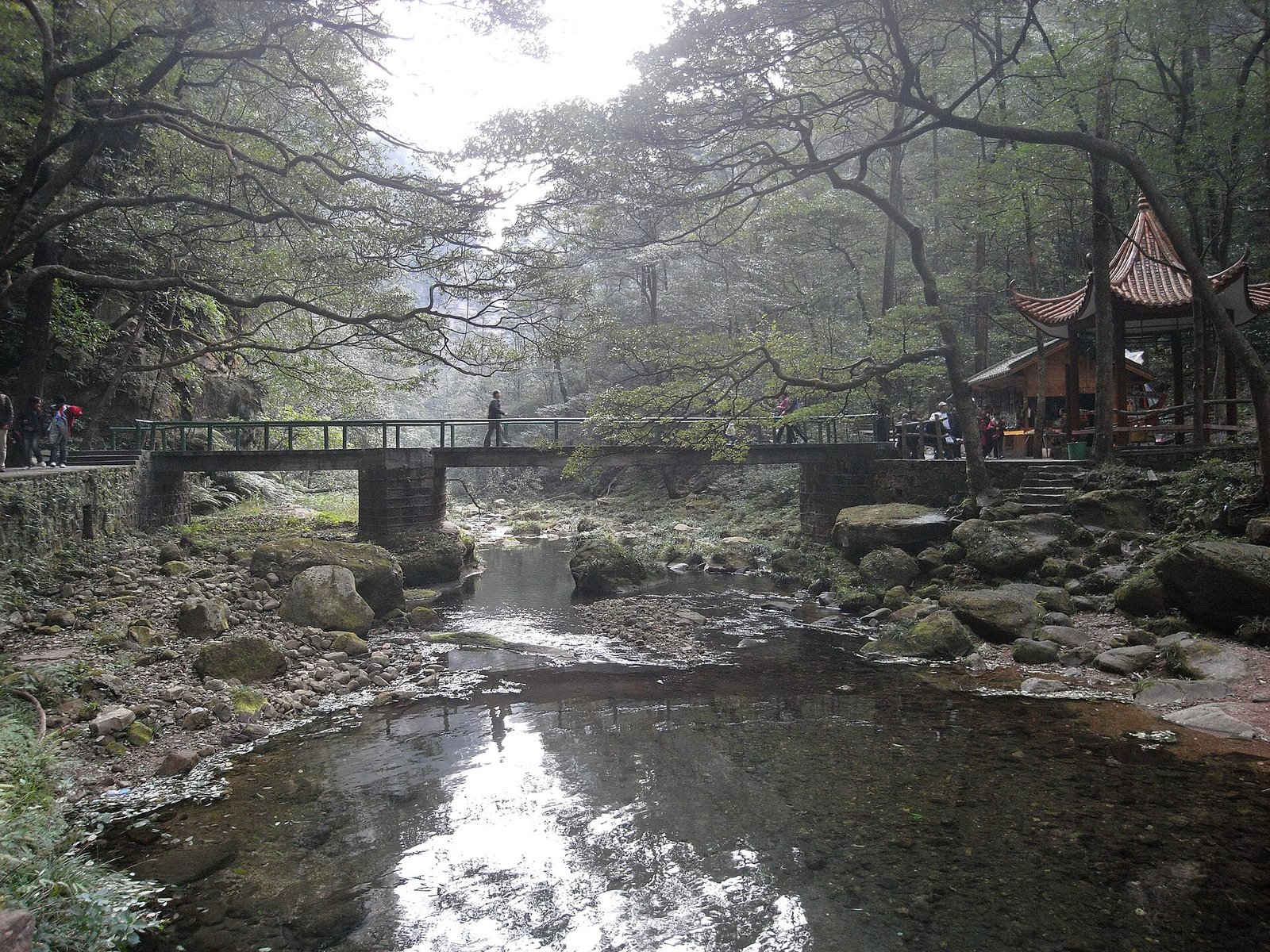 The Golden Whip Stream running through the forest in Zhangjiajie National Forest Park