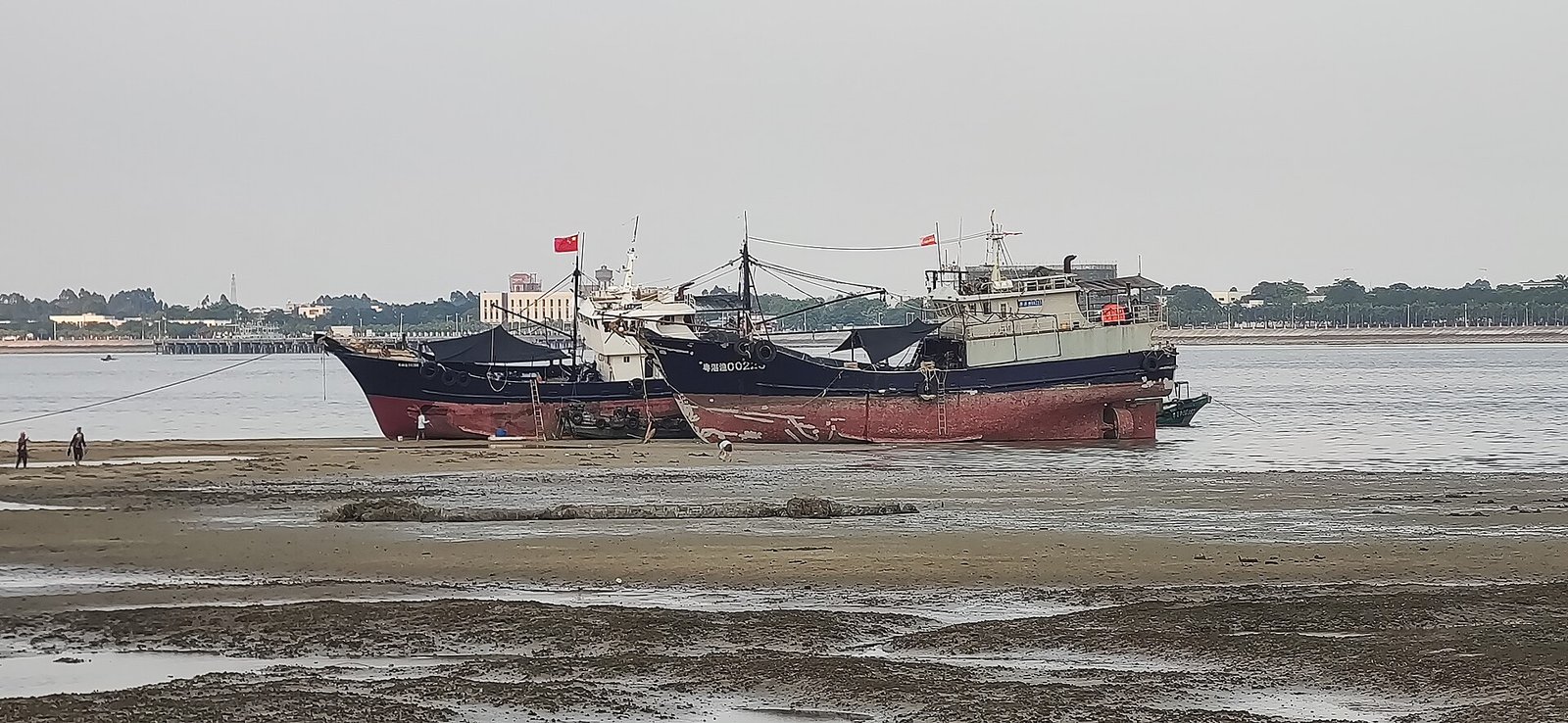 Two blue and red fishing boats grounded on a wide tidal flat at low tide, with the promenade and city skyline in the far distance